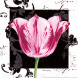 Damask Tulip I Pósters por Pamela Gladding