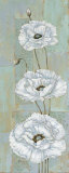 Florentine Poppies Póster por Paul Brent Florentine Poppies Póster por Paul Brent