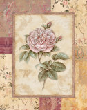 Provence Rose II Prints by Pamela Gladding