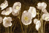 Baroque Poppies Posters by Ives Mccoll