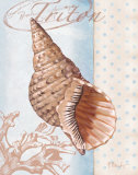 Beachhouse Blue II Posters par Paul Brent