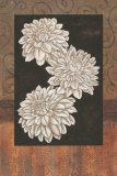 Santorini Dahlias Print by Paul Brent