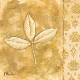 Leaf Oasis IV Poster par Paul Brent