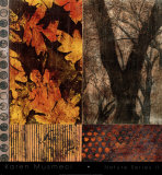 Nature Series II Prints by Karen Musmeci