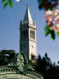 University of California, the Campanile, Alamada County, Berkeley, California Photographic Print by John Elk III