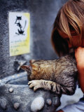 Girl Helping Cat at Cat Fountain, Positano, Campania, Italy Photographic Print by Philip & Karen Smith