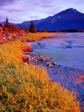 Low Tide at Turnagain Arm, Cook Inlet, Seward Scenic Highway, Seward, Alaska Photographic Print by Richard Cummins