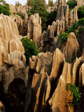 Limestone Karst Formations in Stone Forest, Shi Lin, Yunnan, China Photographie par Richard I'Anson