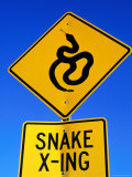 Road Sign for Snake Crossing, Carefree, Arizona Photographie par Philip & Karen Smith