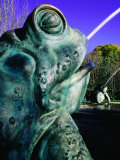 Toad Corners Fountain Detail at Arboretum, Dallas, Texas Photographic Print by Richard Cummins