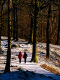 Walkers on Snow Covered Path in Woodland at Grasmere, Lake District National Park, Cumbria, England Photographic Print by David Tomlinson