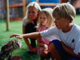 Boy Patting an Owl at the Spier Wildlife Shelter, Cape Town, Western Cape, South Africa Photographic Print by Philip & Karen Smith