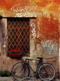 Bicycle Against Wall at Trastavere, Rome, Lazio, Italy Fotografie-Druck von Izzet Keribar