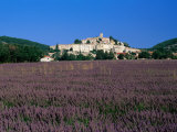Lavender Field Below Village, Banon, Provence-Alpes-Cote d'Azur, France Photographic Print by David Tomlinson