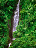 Tiavi Falls, Upolu, Samoa Photographie par Peter Hendrie