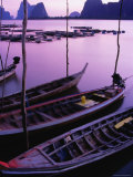 Longtail Boats Bob against Mooring Sticks at Sunset, Ko Panyi, Phang-Nga, Thailand Photographic Print by Dominic Bonuccelli