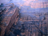 Sheer Rockface Above the Upper Emerald Pool Trail, Zion National Park, Utah Photographic Print by Brent Winebrenner