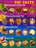 Fat Facts Reprodukcje Fat Facts Reprodukcje