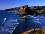 Coastline at Piha Dominated by Lion Rock, New Zealand Photographic Print by Ross Barnett