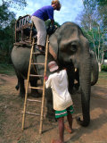 Elephant Ride, Bolaven Plateau, Champasak, Laos Photographic Print by John Elk III