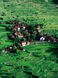 Ricescapes, Philippines Photographie par Richard I'Anson