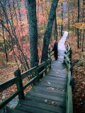 Woman Standing on Boardwalk in Johnson's Shut-Ins State Park During Autumn, Missouri Photographic Print by John Elk III