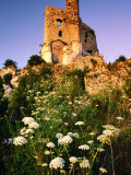 Ruined Castle on Eagle's Nest Trail, Mirow, Malopolskie, Poland Photographic Print by Witold Skrypczak