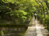Man Walking the Path of Philosophy, Kyoto, Kinki, Japan Photographic Print by Greg Elms