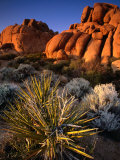 Hidden Valley, Joshua Tree National Park, California Photographic Print by John Elk III