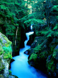 Water Rushing through Avalanche Creek Gorge, Glacier National Park, Montana Photographic Print by Holger Leue