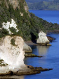 Early Morning Towards Cathedral Cove, Coromandel Peninsula, New Zealand Photographie par Paul Kennedy