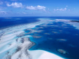Coral Reef, Torres Strait Islands, Torres Strait Islands, Queensland, Australia Photographic Print by Oliver Strewe