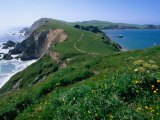 Chimney Rock Dividing Drakes Bay and the Pacific Ocean, Point Reyes National Seashore, California Lámina fotográfica por John Elk III