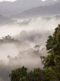 Mist Rising from Forest Floor, Nyungwe Forest National Park, Gisenyi, Rwanda Fotografisk tryk af Ariadne Van Zandbergen Mist Rising from Forest Floor, Nyungwe Forest National Park, Gisenyi, Rwanda Fotografisk tryk af Ariadne Van Zandbergen