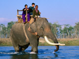 Elephant Carrying Tourists Across Ramgana River, Royal Chitwan National Park, Narayani, Nepal Photographie par Christer Fredriksson