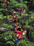 Ethnic Flowery H'mong Farm the Mountains of Northern Vietnam, Coc Ly, Lao Cai, Vietnam Photographic Print by Stu Smucker
