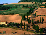Cypress-Lined Montichiello Road, So of Pienza, Val d'Orcia, Tuscany, Italy Photographic Print by John Elk III