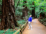 Man on Walkway in Redwood Forest, Muir Woods National Monument, California Photographic Print by John Elk III