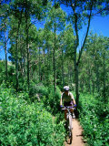 Ranger on Mountain Bike, Steamboat Springs, Colorado Photographie par Holger Leue