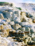 Canary Spring at Mammoth Hot Springs, Yellowstone National Park, Wyoming Photographic Print by Holger Leue