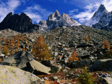 Chamonix Aiguilles and Autumn Larch Trees from Grand Balcon Nord, Chamonix, Rhone-Alpes, France Photographic Print by Glenn Van Der Knijff