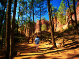 Walker Among Pines on Sentier des Ocres, Roussillon, Provence-Alpes-Cote d'Azur, France Photographic Print by David Tomlinson