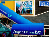 Aquarium of the Bay, Pier 39, Fisherman's Wharf, San Francisco, California Photographic Print by Richard Cummins