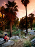 Agua Caliente Indian Reserve Palm Canyon, Upper Canyon, Palm Springs, California Photographic Print by John Elk III