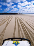 4WD and Tracks on Beach, Queensland, Australia Fotografisk tryk af Holger Leue 4WD and Tracks on Beach, Queensland, Australia Fotografisk tryk af Holger Leue