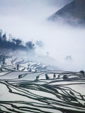 Water Filled Rice Terraces in Mist, Yuanyang, Yunnan, China Photographie par Keren Su