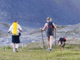Backpackers on Crow Creek Trail Near Girdwood, Anchorage, Alaska Photographic Print by Brent Winebrenner