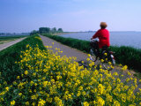 Woman Cycling Atop Polder Dike, Netherlands Photographic Print by John Elk III