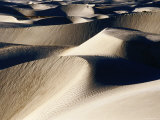 Coastal Sand Dunes, Dunas de Soledad, Guerrero Negro, Baja California Sur, Mexico Photographic Print by Brent Winebrenner