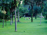 Section of Lawn in the 54 Hectare Singapore Botanic Gardens, Singapore Photographie par Glenn Beanland
